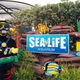Illustration for article titled An Awesome Day At Legoland